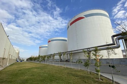 安琪酵母海外工廠 扎根當(dāng)?shù)?，共筑綠色未來(lái)